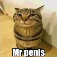 Sticker Больше стиков тут: @stikery4 - 10