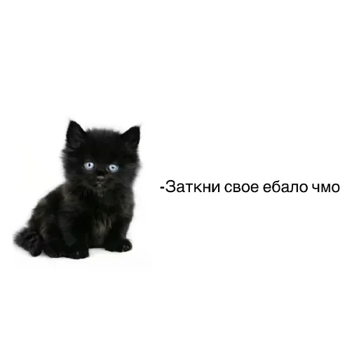 Больше стиков тут: @stikery4 - 