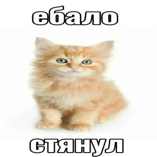 Sticker set_120_by_makestick3_bot - 1