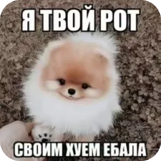 Sticker Больше стиков тут: @stikery4 - 8