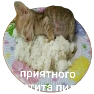 Sticker Больше стиков тут: @stikery4 - 1