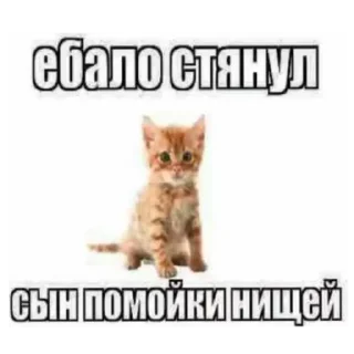 Sticker Больше стиков тут: @stikery4 - 10