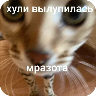 Sticker Больше стиков тут: @stikery4 - 9