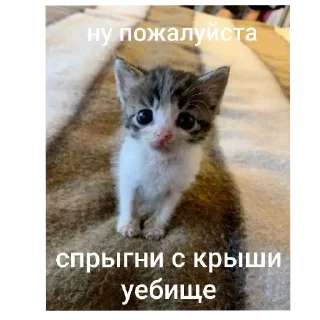 Sticker Больше стиков тут: @stikery4 - 6