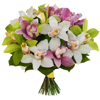 Sticker Больше стиков тут: @stikery4 - 3