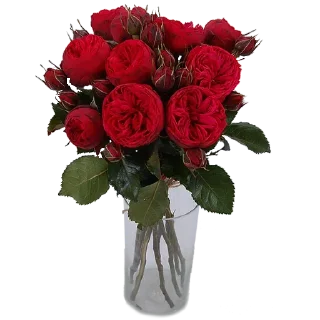 Sticker Больше стиков тут: @stikery4 - 8