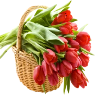 Стикер Больше стиков тут: @stikery4 - 5