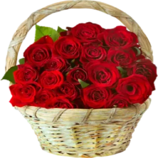 Стикер Больше стиков тут: @stikery4 - 11