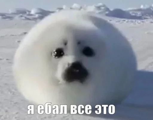 Больше стиков тут: @stikery4 - 