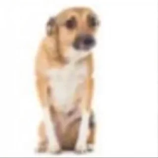 Стикер Больше стиков тут: @stikery4 - 0