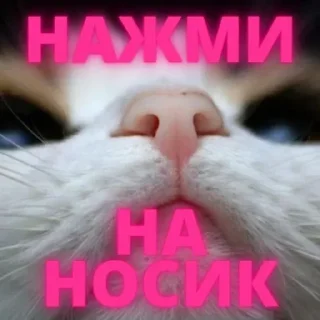 Sticker Больше стиков тут: @stikery4 - 6