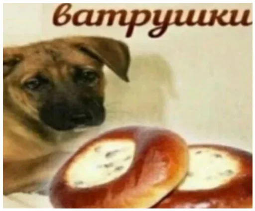 Стикер set_167_by_makestick3_bot - 1