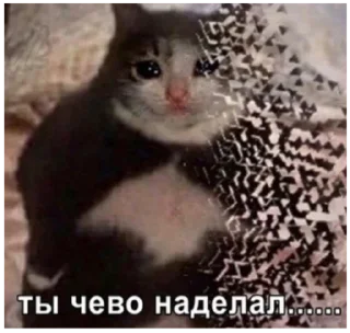 Sticker Больше стиков тут: @stikery4 - 5