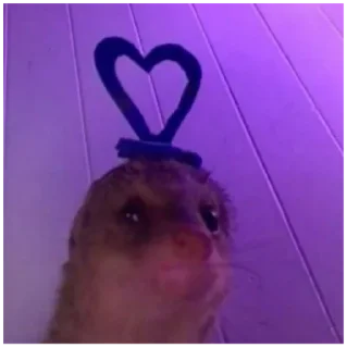 Sticker Больше стиков тут: @stikery4 - 7