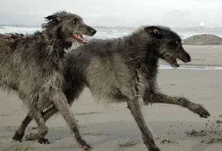 Sticker Больше стиков тут: @stikery4 - 11