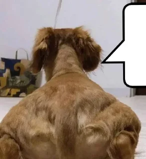 Sticker Больше стиков тут: @stikery4 - 11