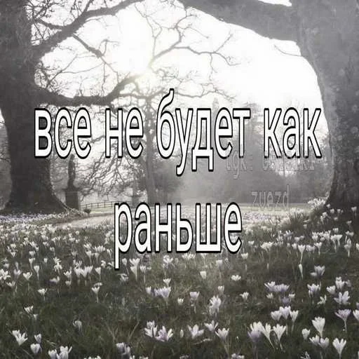 Больше стиков тут: @stikery4 - 