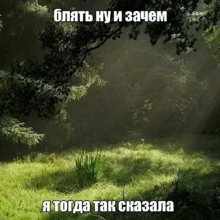 Стикер Больше стиков тут: @stikery4 - 11