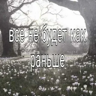 Стикер Больше стиков тут: @stikery4 - 6