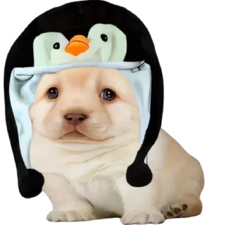 Стикер Больше стиков тут: @stikery4 - 1