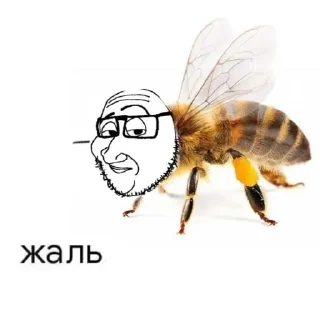 Стикер Больше стиков тут: @stikery4 - 11