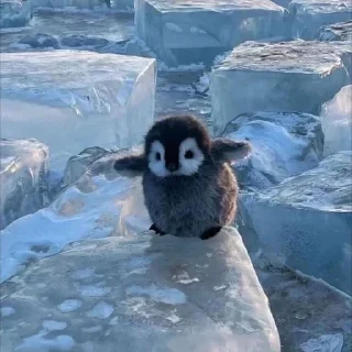 Стикер Больше стиков тут: @stikery4 - 3