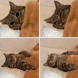 Стикер Больше стиков тут: @stikery4 - 4