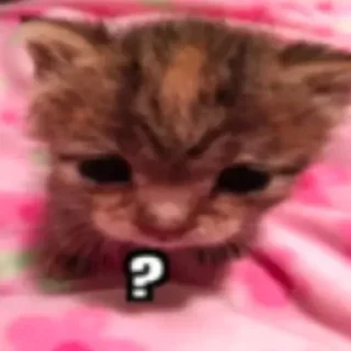 Sticker Больше стиков тут: @stikery4 - 1