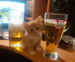 Sticker Больше стиков тут: @stikery4 - 7