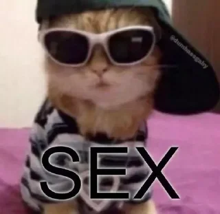 Sticker Больше стиков тут: @stikery4 - 8