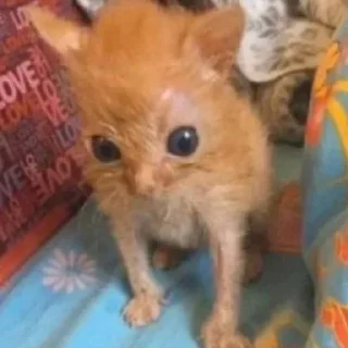 Sticker Больше стиков тут: @stikery4 - 8