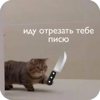 Стикер Больше стиков тут: @stikery4 - 4