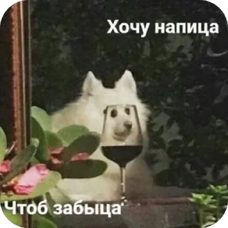 Стикер Больше стиков тут: @stikery4 - 7