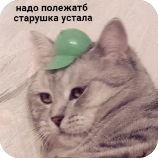 Стикер Больше стиков тут: @stikery4 - 11