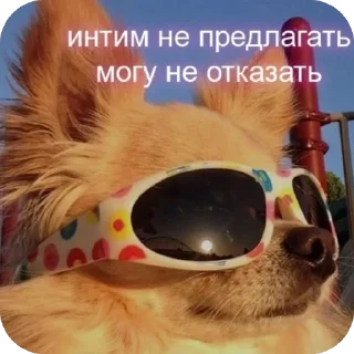 Стикер Больше стиков тут: @stikery4 - 10