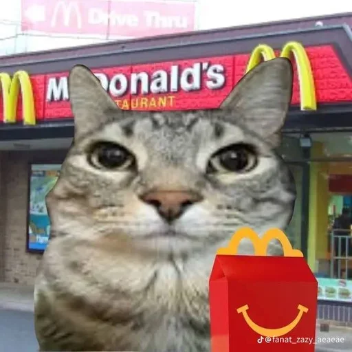 Sticker set_243_by_makestick3_bot - 1