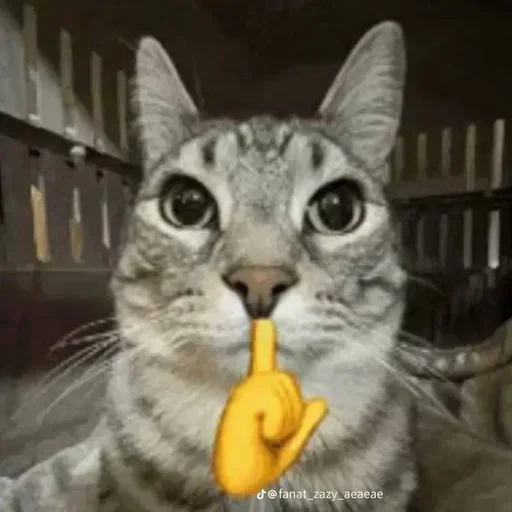 Sticker set_243_by_makestick3_bot - 1