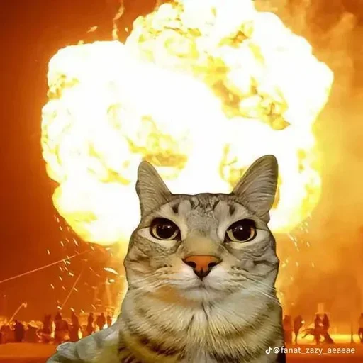 Sticker set_243_by_makestick3_bot - 1