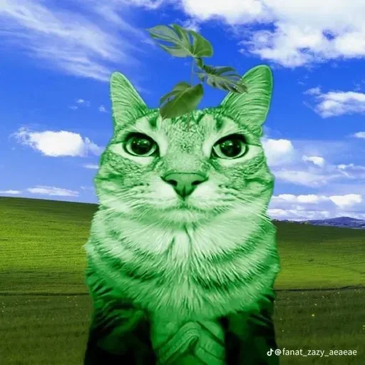 Sticker set_243_by_makestick3_bot - 1