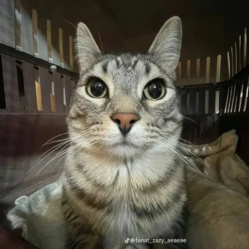 Sticker set_243_by_makestick3_bot - 1