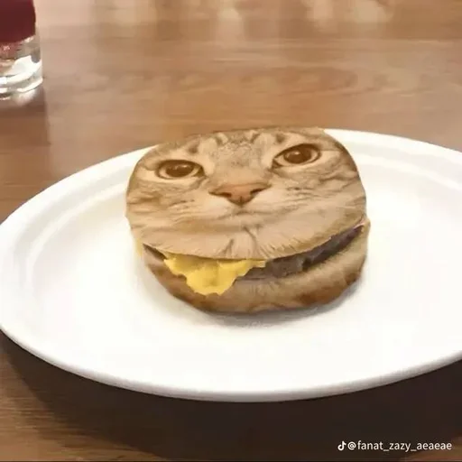 Sticker set_243_by_makestick3_bot - 1