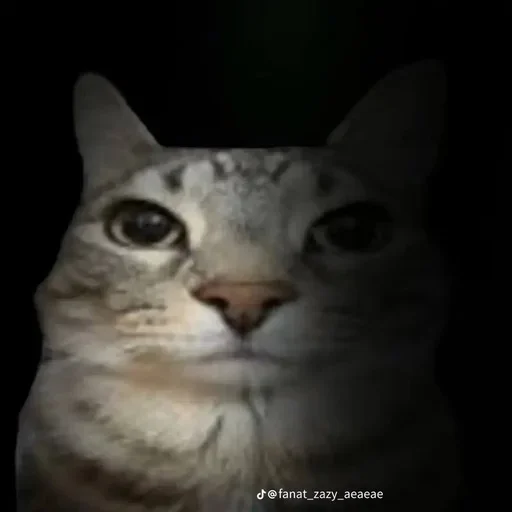 Sticker set_243_by_makestick3_bot - 1