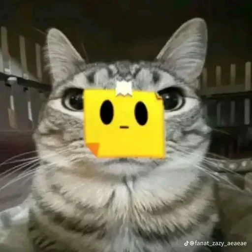 Sticker set_243_by_makestick3_bot - 1