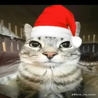 Стикер Больше стиков тут: @stikery4 - 2