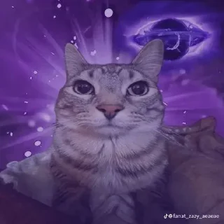 Стикер Больше стиков тут: @stikery4 - 11