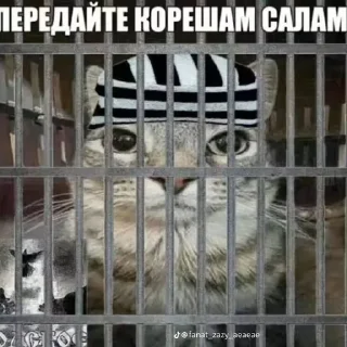 Стикер Больше стиков тут: @stikery4 - 7