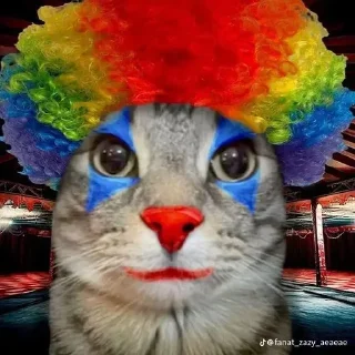 Стикер Больше стиков тут: @stikery4 - 4