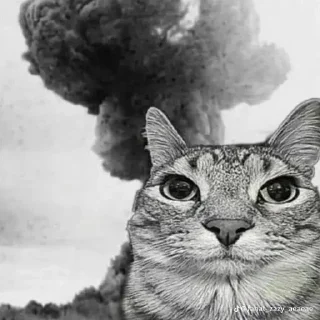 Стикер Больше стиков тут: @stikery4 - 1