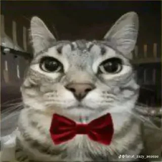 Стикер Больше стиков тут: @stikery4 - 3