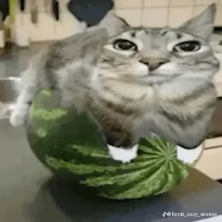 Стикер Больше стиков тут: @stikery4 - 8